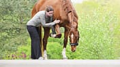 Das Foto zeigt Katrin Obst, die bei einem Pferd das linke Vorderbein anhebt und es im Schulterbereich berührt.