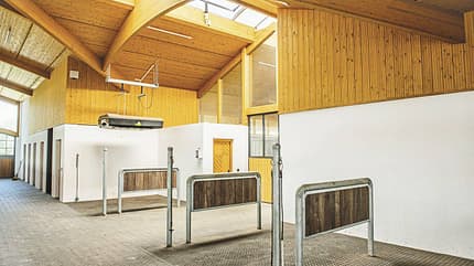 Römmelt, Pferdewaschplatz, Anbindeplatz, Pferdesolarium, Reitanlage, Pferdestall, Stalltechnik, Stallbau Holz, Waschbox, Innenraumarchitektur Das Foto zeigt den Innenraum einer Reitanlage mit mehreren Anbindeplätzen, Pferdesolarium und Klima-Brettstapeldecke von Römmelt Hallenbau.