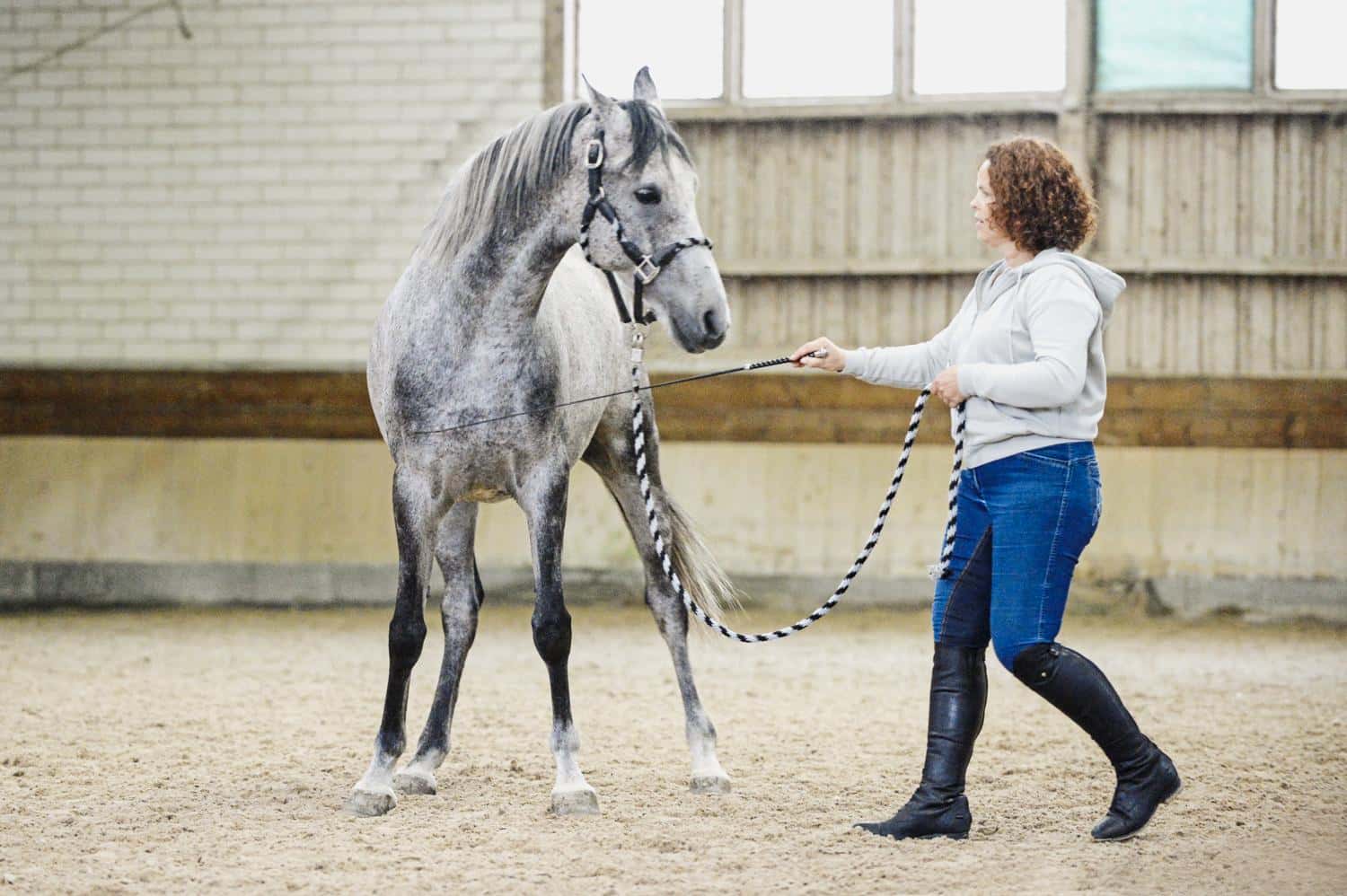 Training mit sensiblen Pferden