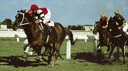 CAV Film Kino Phar Lap 6