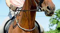 cav-201810-balancezuegel-lir6065-aufmacher (jpg)