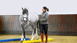 CAV Equikinetic Michael Geitner 1