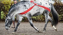 CAV Training Elastikbänder Aufmacher