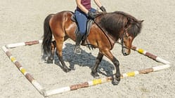 CAV Stangenquadrat Aufmacher