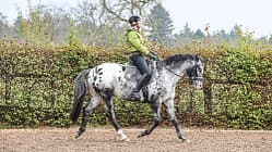 cav-uebergaenge-012017-aufmacher2-und-teaser-lir6940 (jpg)