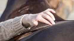 CAV Rückenprobleme Test Übungen Teaser CAV Rückenprobleme Test Übungen Teaser