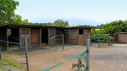 CAV Stall-Scout Stall-Runde EquiArt Corinna Hengefeld