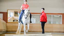 Reiten lernen Teil 3