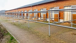 Reitschultest