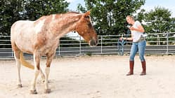 Roundpen