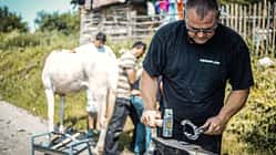 CAVALLO hautnah Markus Raabe