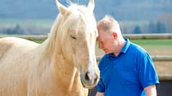 Dösen mit dem Pferd