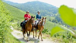Wanderreiten durch den Schwarzwald