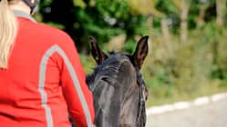 Ohrenspiel beim Reiten