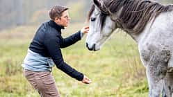 Konzept Horse Speak