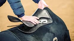 CAVALLO Der REV-Sattel von Stübben