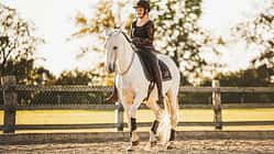CAVALLO Halsringreiten