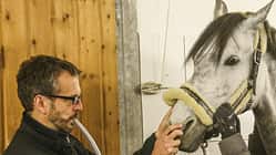 cav-kolik-diagnose-img-1295-fellner-v-amendo (jpg) cav-kolik-diagnose-img-1295-fellner-v-amendo (jpg)