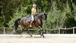 Eine Reiterin galoppiert mit ihrem Pferd auf dem Sandplatz