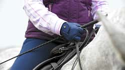 Nahaufnahme auf die Reiterhand mit Gertenführung