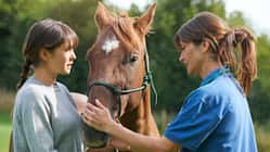 Eine Tierärztin untersucht das Pferd einer Frau auf der Weide
