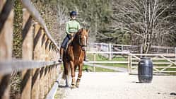 Stefanie Seebauer im Schulterherein mit ihrem Pferd an der langen Seite des Reitplatzes