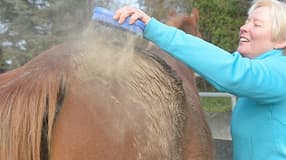 cav-0418-buerstencontest-2-lir8456-mit-teaser (jpg)