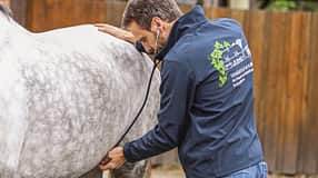 cav-kolik-diagnose-img-1222-fellner-v-amendo (jpg)