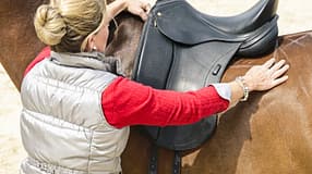 CAV Sattel-Check Teaser