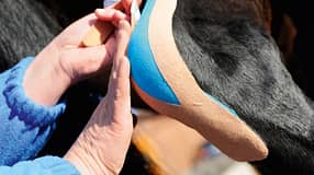 CAV Tape Kinesio Tape Medizin Muskeln 5