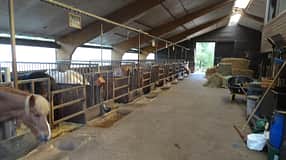 CAV-1212-Reitschultest-Sagabaer-2 (jpg)