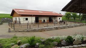 CAV-0812-Reitschultest-Muellers-Pferdeparadies-1 (jpg)