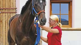 CAV 1109 Basics Anhalten _08 (jpg)