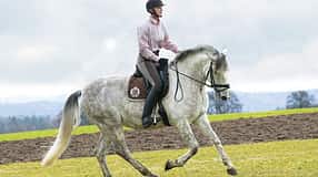 CAV Geländelektionen Bild 5