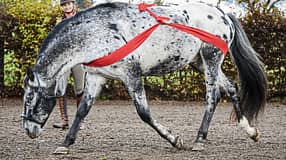 CAV Training Elastikbänder Aufmacher