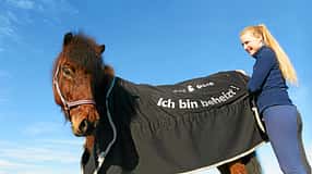 CAV Abschwitzdecken 2