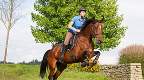 CAV Kondition Ausdauer Fitness Dressur Gelände 2