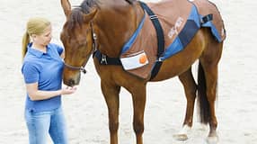 UB Bemer Therapie Decke Aufmacher