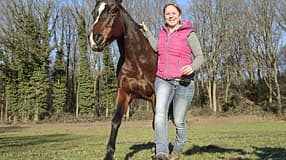 CAV Kommunikation Was Pferde sagen Aufmacher