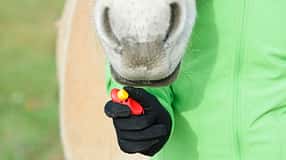 cav-201901-clicker-serie-aufmacher-lir4268-mit-TEASER (jpg)