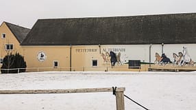 CAV Reitschultest Chemnitz Teaser für Text