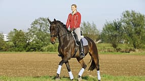 CAV-0112-Medizin-News-Ausritt-Winter-Fruehling (jpg)