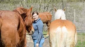 CAVALLO-Coach