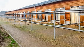 Reitschultest