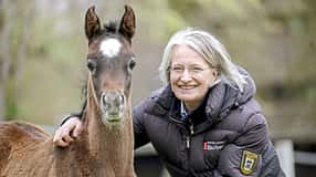 CAVALLO Vollblut, Warmblut, Herzblut, Landgestüt Marbach, Fohlen