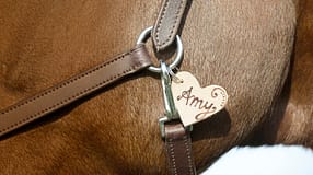 DIY Lederanhänger am Pferdehalfter