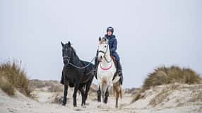 Vielseitigkeitsreiterin Julia Mestern lebt in Dänemark und hält ihre Pferde im Offenstall.