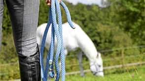 Weide Weißes Pferd auf einer Weide, im Vordergrund eine Reiterin mit Halfterstrick in der Hand