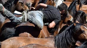 CAVALLO Überholte Reittraditionen Überholte Reittraditionen