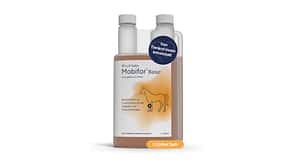 Mobifor, NutriLabs, Futterzusatz, Gelenke, Sehnen, Produkte, Amazon Prime Days, Angebote, Pferdepflege, Equipment Mobifor von NutriLabs als Freisteller